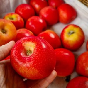 Pluktuin Het Platteland_Appels